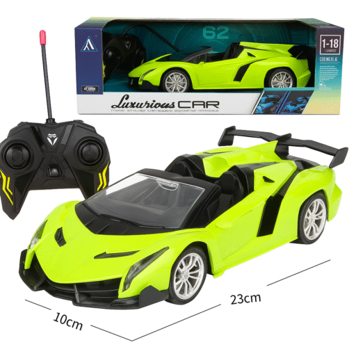 2 Lamborghini Sports RC Car